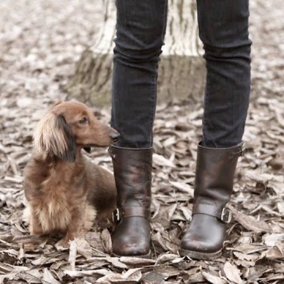 Frye Veronica Shortie in Rustic Black, sz 10 - Picture 1 of 16